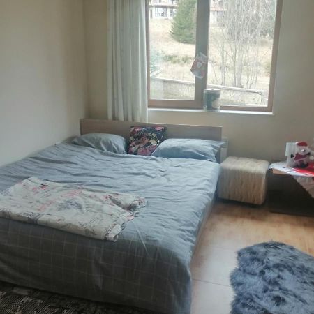 Apartment Dream Pamporovo Eksteriør billede